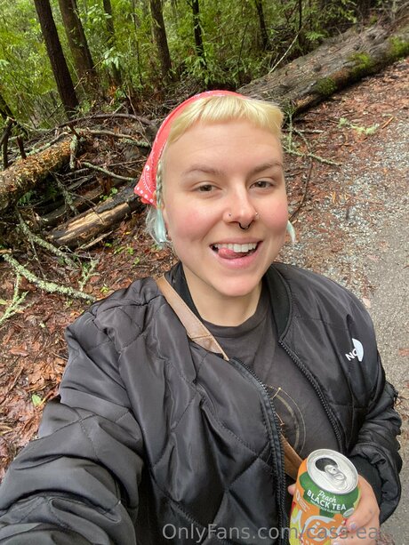 Cass Eater free pornstar galleries