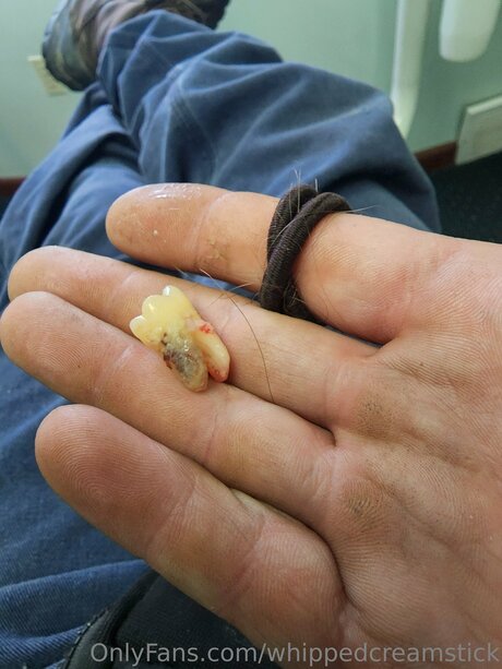 Whippedcreamstick xxx model archive