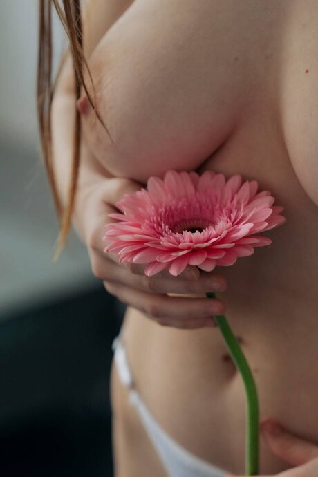 Inlikoris top actress gallery