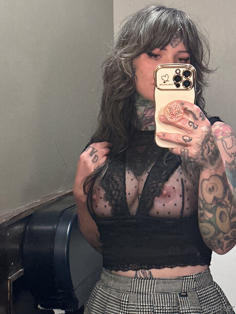 Clitylitter top star picture