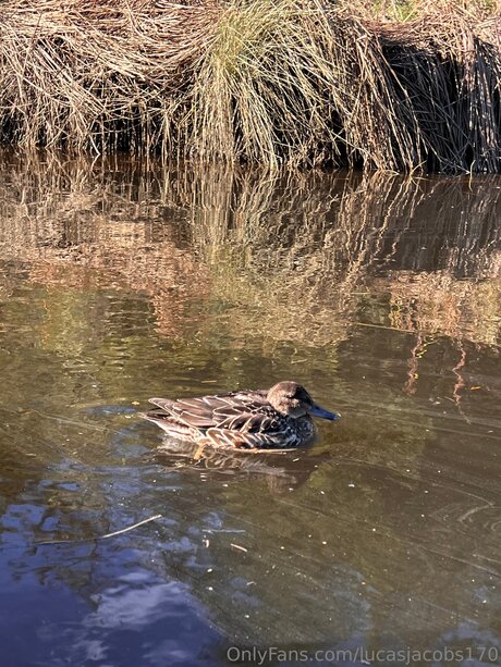 balls onlyfans art porn pic