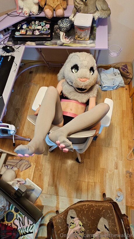 Oliverthewabbit star free img