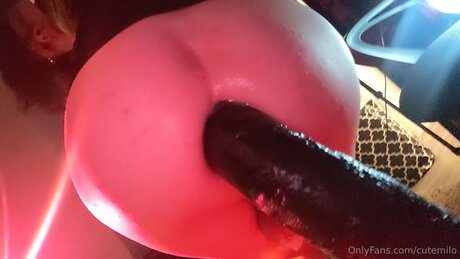 Cutemilo exclusive model gallery