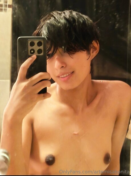 Artemisabonita star top image