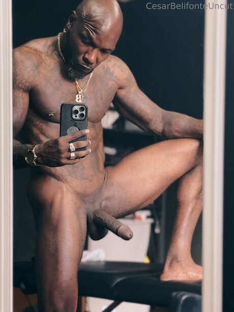 Cesarbelifonteuncut star beautiful gallery