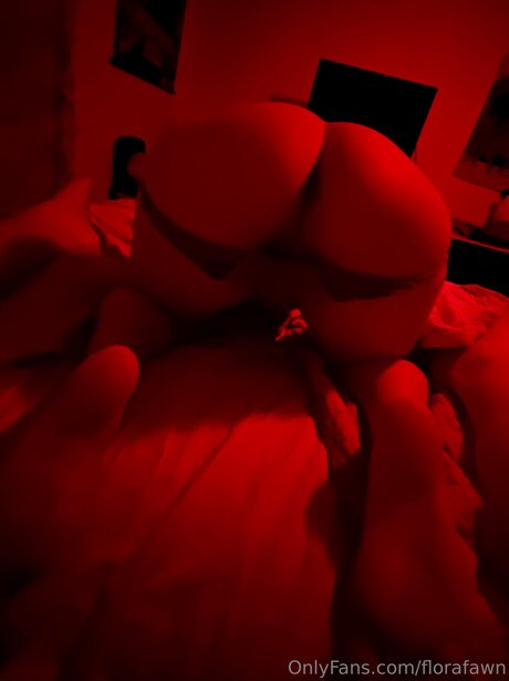 Florafawn star art pics