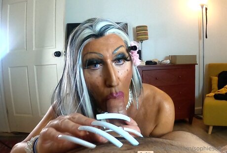 Sophiesoft5 high quality model pictures