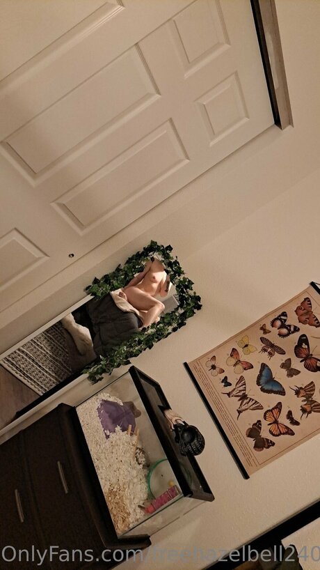 Free Ceceblair99 sex star pictures