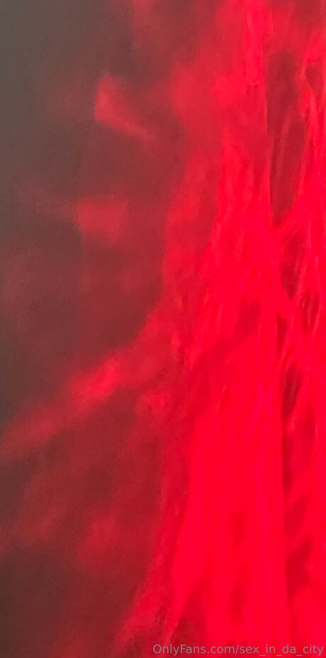 Sex In Da City pornstar free archive