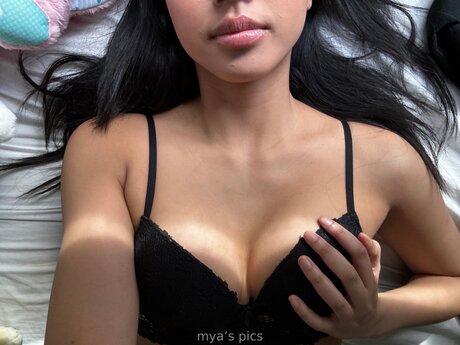 Myaarawrr star hd galleries