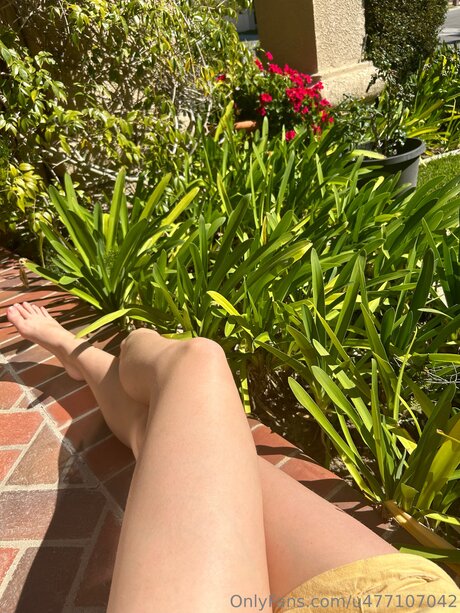 Prettylittlethang2004 pornstar top images