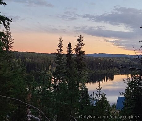 Daisyknickers pretty pornstar archive