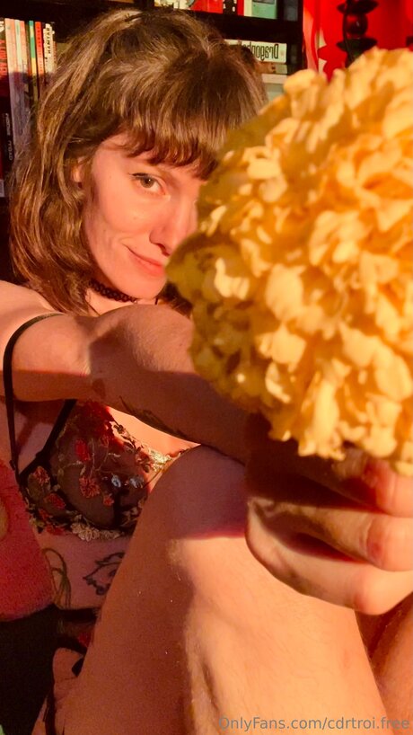 Cdrtroi Free sexy pornstar pics