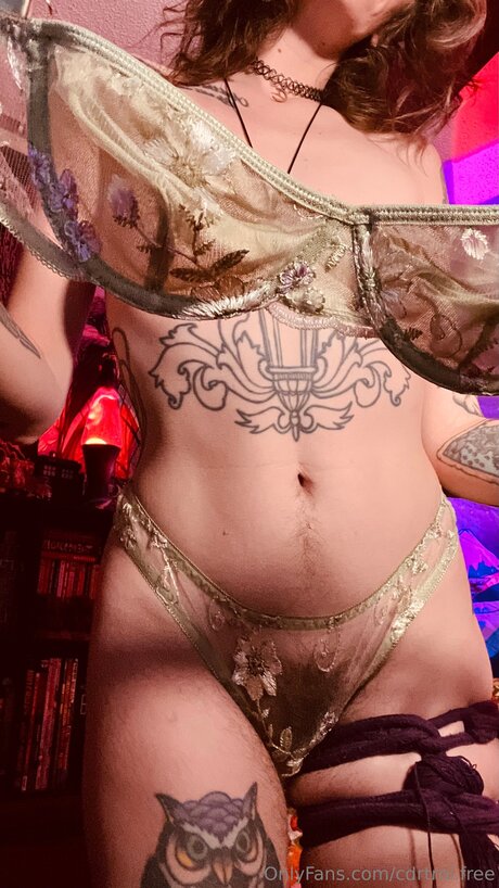 Cdrtroi Free pornographic model archive