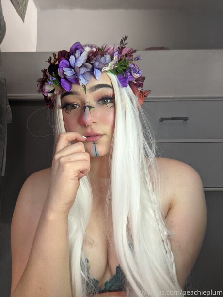 Peachieplum art star gallery