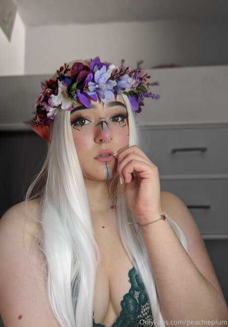 Peachieplum star high quality galleries