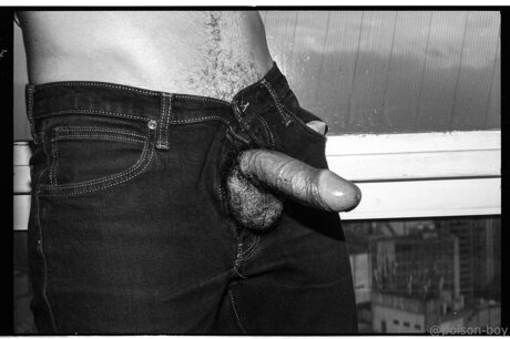 Poison Boy erotic pornstar images