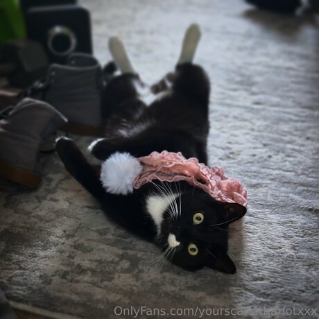 dirty talk joi onlyfans hot sexy images