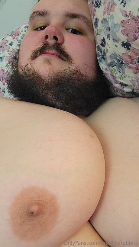 Bredlikerabbits model top gallery