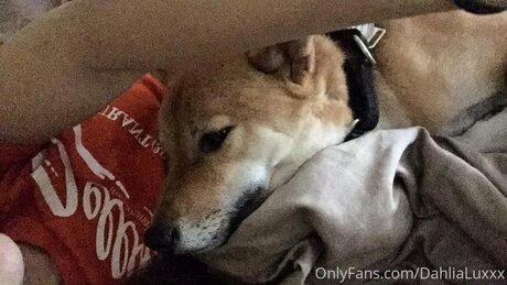 bbc cuckold onlyfans beautiful galleries