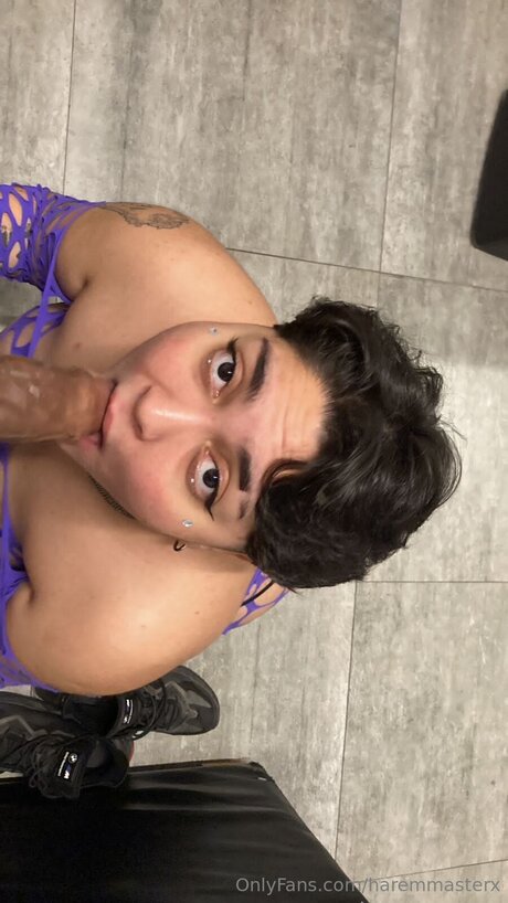 Haremmasterx pornstar art img