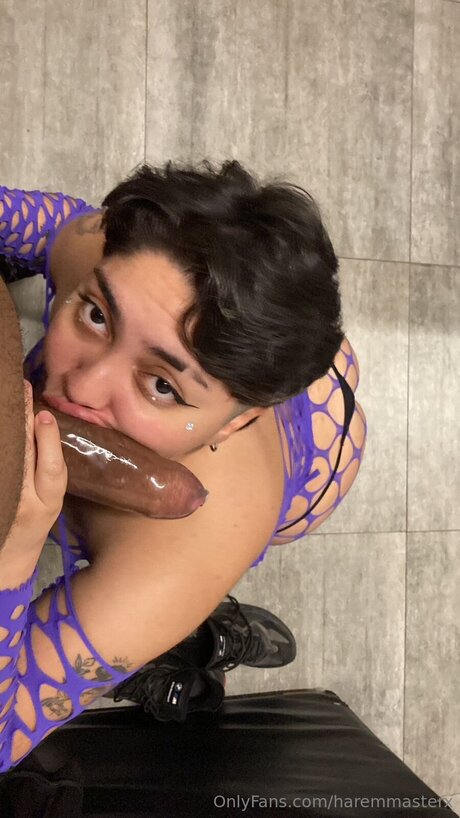 Haremmasterx sex star pictures