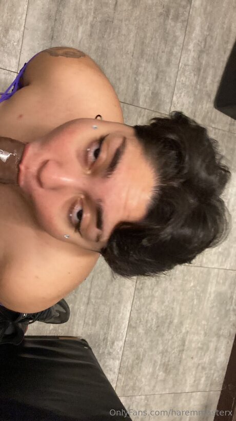 Haremmasterx star nude archive