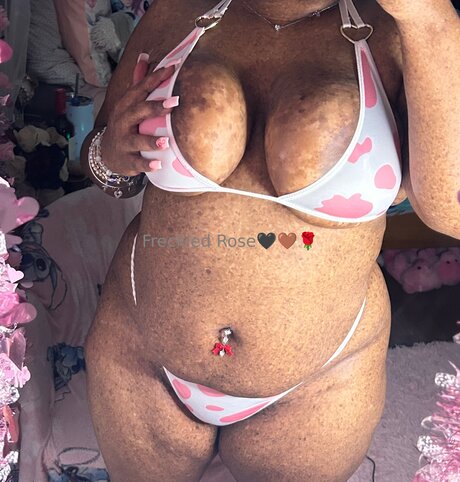 Freckledfantasy5 nice pornstar photos