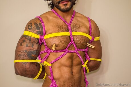 Zhavala pornstar nude photos