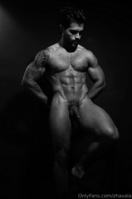 Zhavala pornstar perfect picture