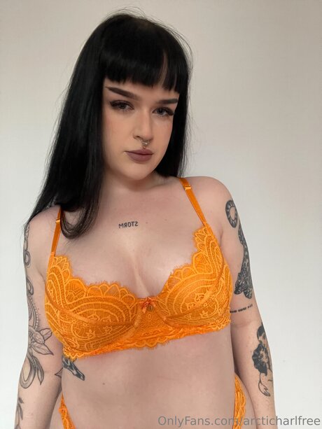 Otherarcticharl art model image