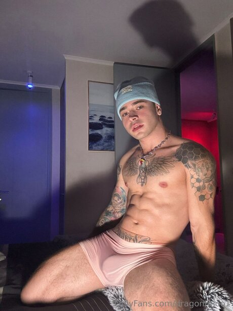 Dragonrojoo1 star free picture