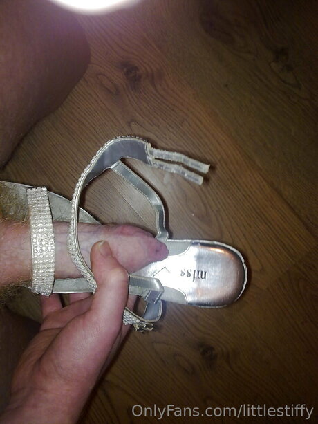 Littlestiffy best star galleries