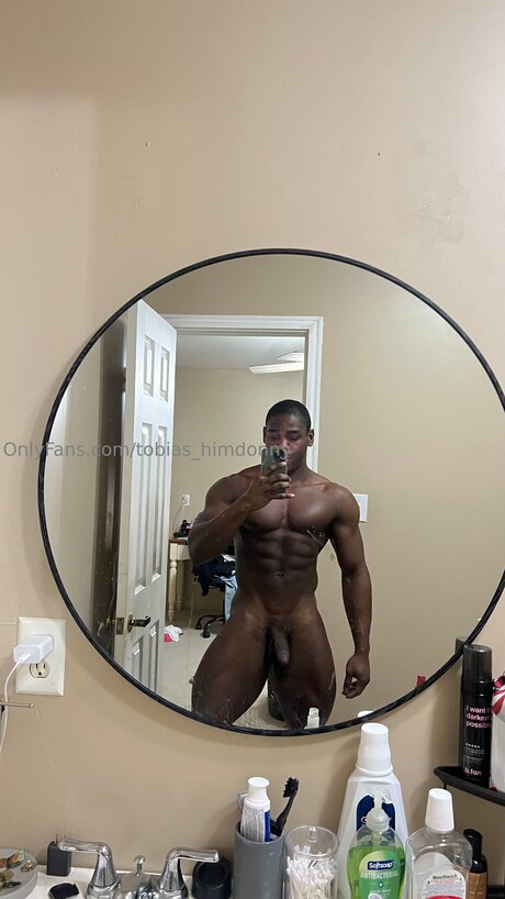 Tobias Himdonny art actress pictures