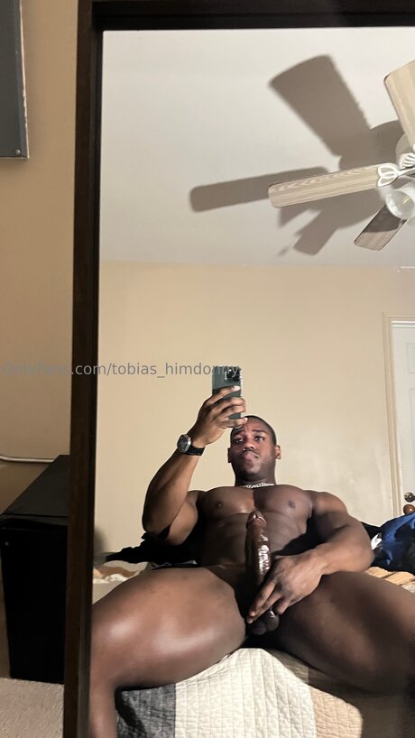 Tobias Himdonny pornstar free archive