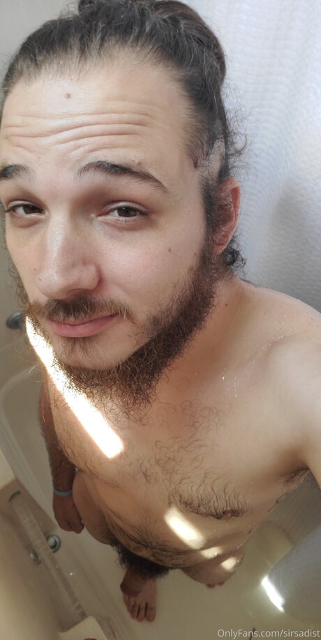 Sirsadist model top picture