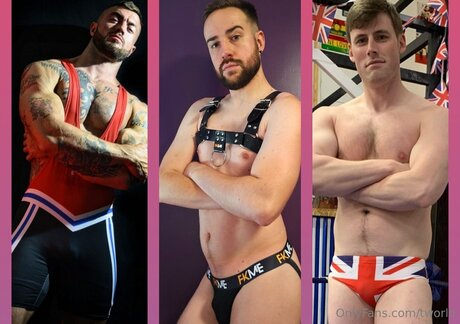 Tworld perfect model picture