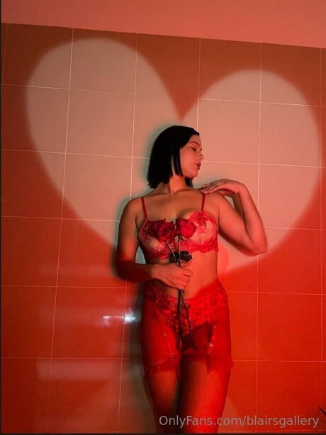 Blairsgallery star top archive