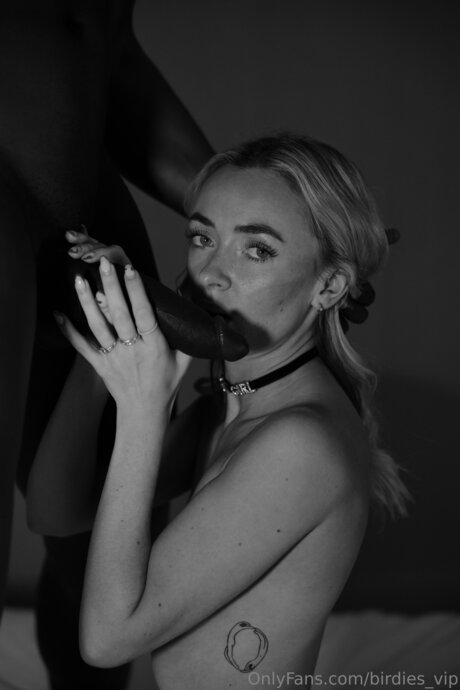 Birdies Vip model best pic