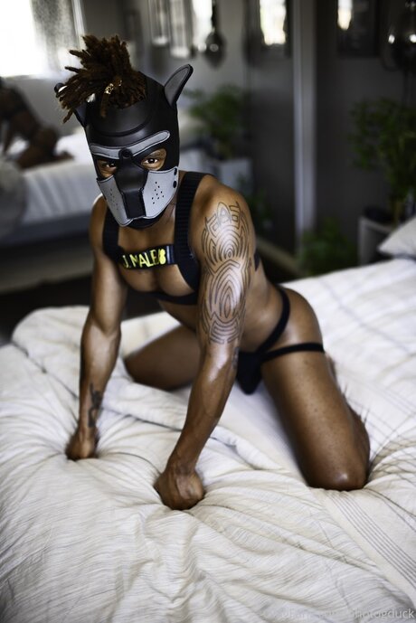 Qxvisuals porn actress archive