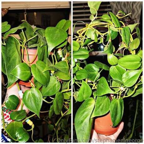 girl on girl onlyfans pornos picture