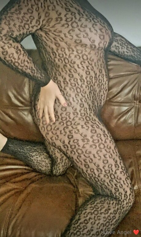 Angelwildfree Profile