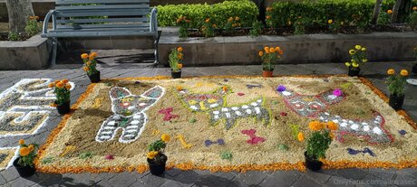 Alexrasec model exclusive images