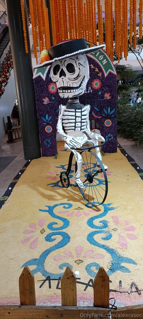 Alexrasec pornstar hd picture