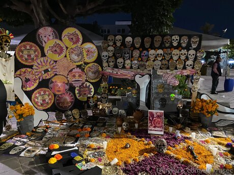 Alexrasec sexy model photo