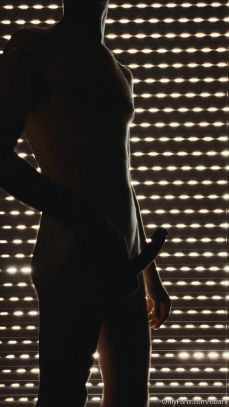 Obark model nice galleries