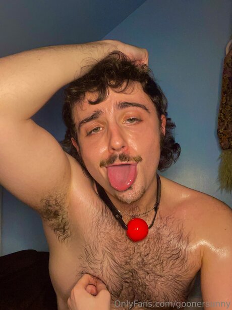 Goonersunny high quality pornstar pic