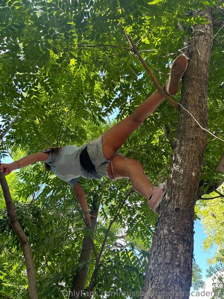 Missbadteacheracademy xxx star picture