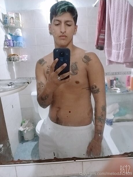 Meliodas2309 pornstar art image