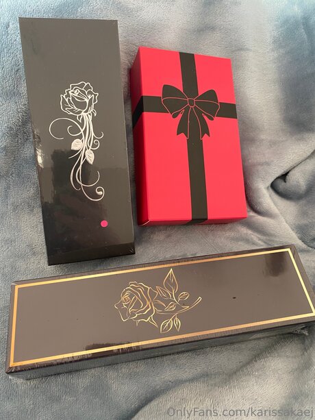 Karissakaej pornstar top galleries